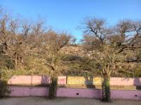 Govardhan Parikrama by eRickshaw. (Uddhav Kund, Kusum Sarovar, Govind Kund) (21 March 2025)